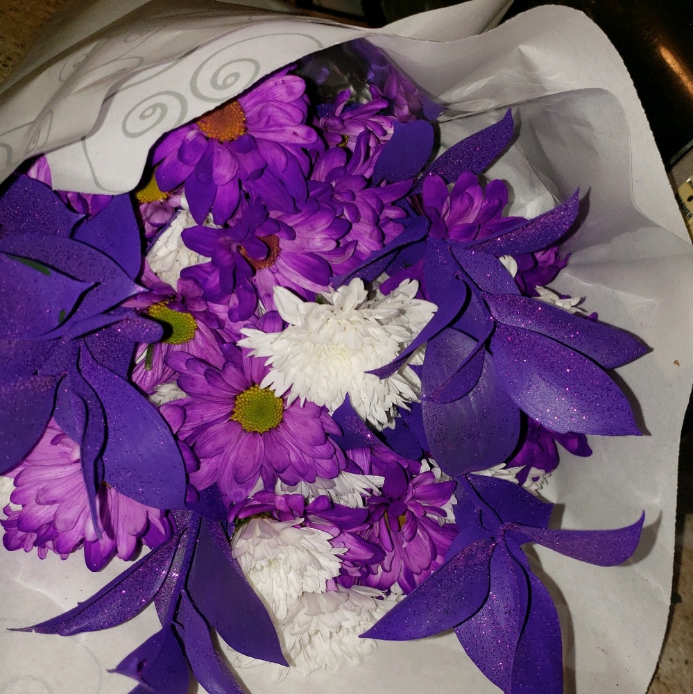 Meet your Posher, Jasmine